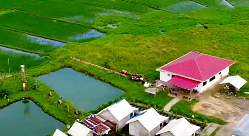 Jazz Ferme Inn Batuan Bohol