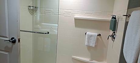 King Studio with Sofa Bed - Hearing Accessible