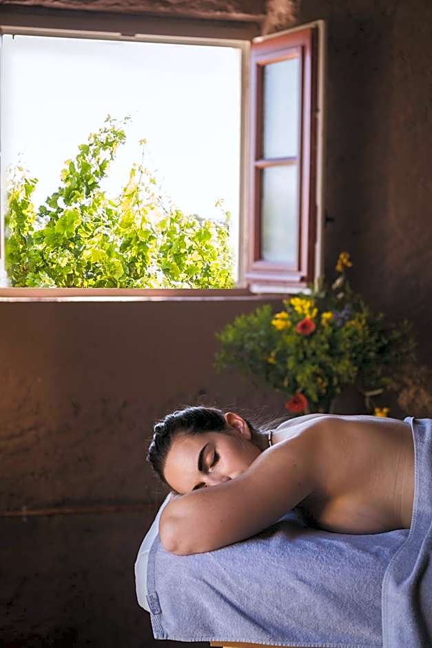 Château Les Carrasses