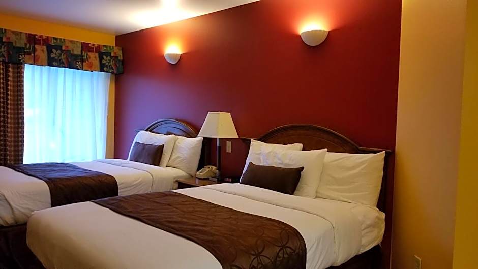 Photo 1 of 50 of Dew Drop Inn