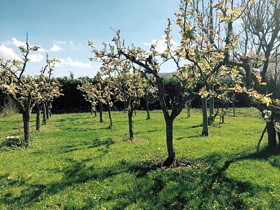 Bed & Breakfast Le Piagge