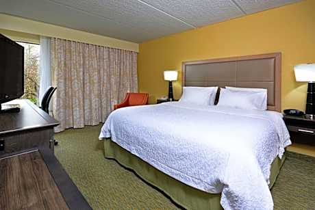 King Room - Hearing Access/Non-Smoking