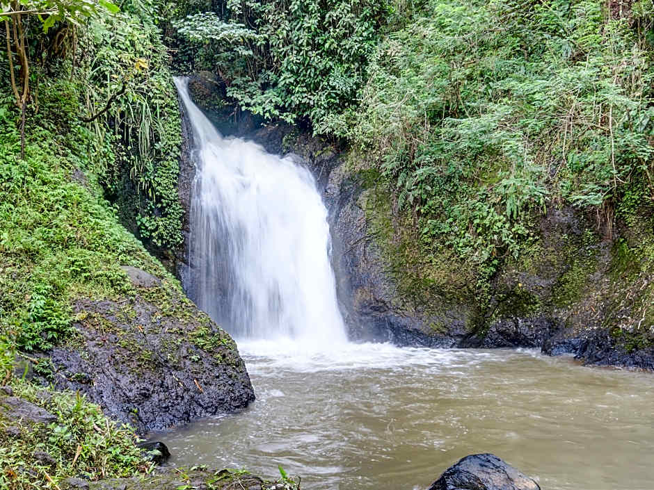 SPOT ON 91157 Desa Wisata Bendosari Kendal