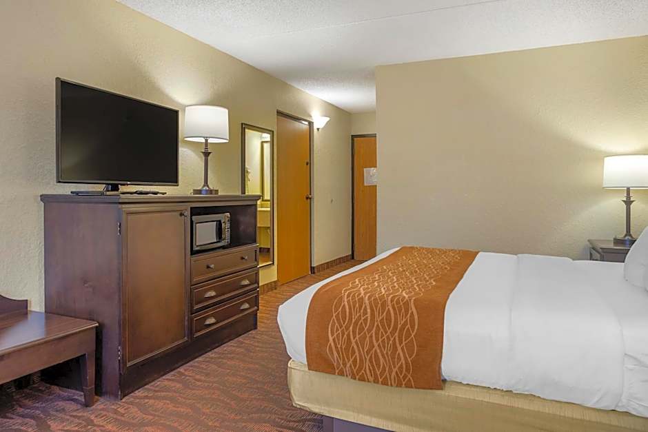 Comfort Inn At Thousand Hills