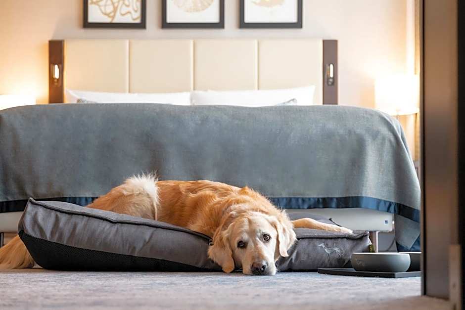 Hotel Kö59 Düsseldorf - Member of Hommage Luxury Hotels Collection