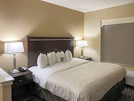 1 King Bed, Suite, Nonsmoking