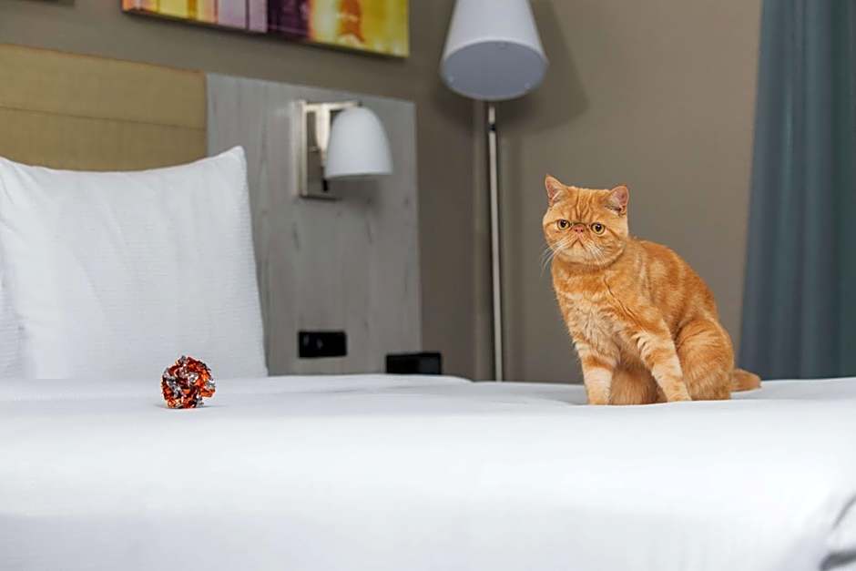 DoubleTree By Hilton New York Times Square West