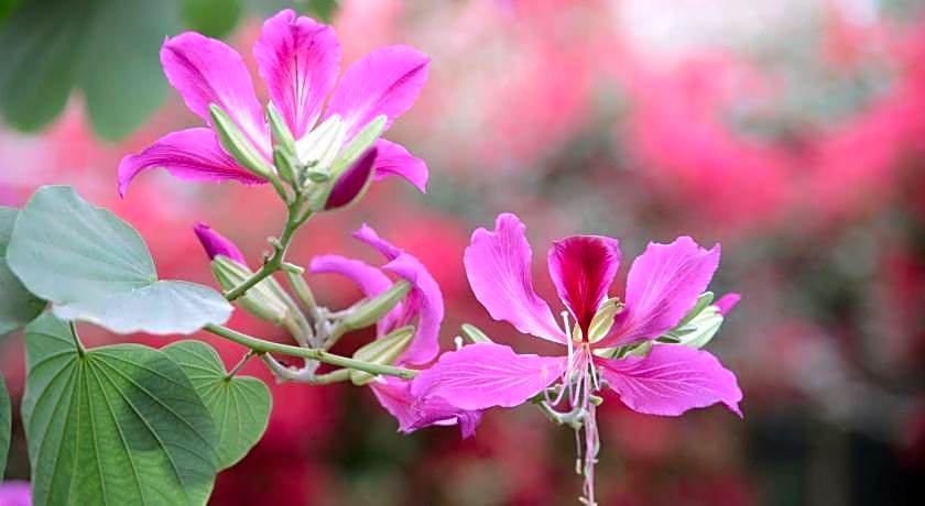 Hotel Jaswant Bhawan