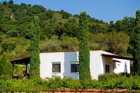 One-Bedroom Apartment (5 Adults)