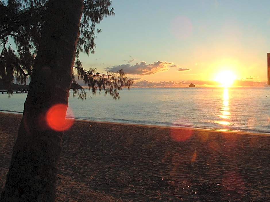 Marlin Waters Beachfront Apartments