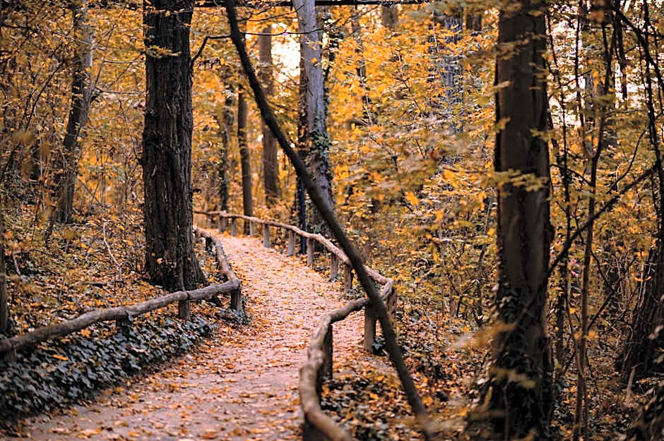 WELTWIEN Luxury Art Apartments & Free Parking