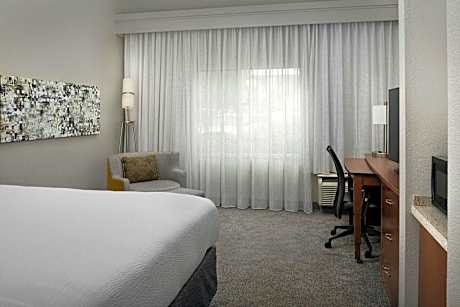 Room, 1 King Bed