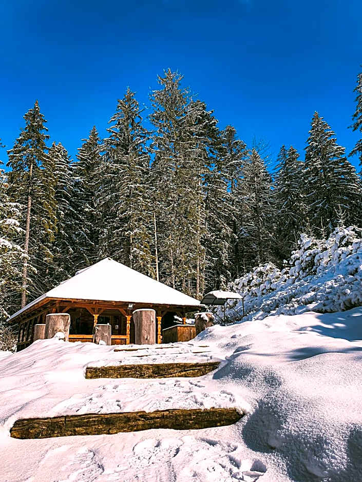 Teleferic Grand Hotel