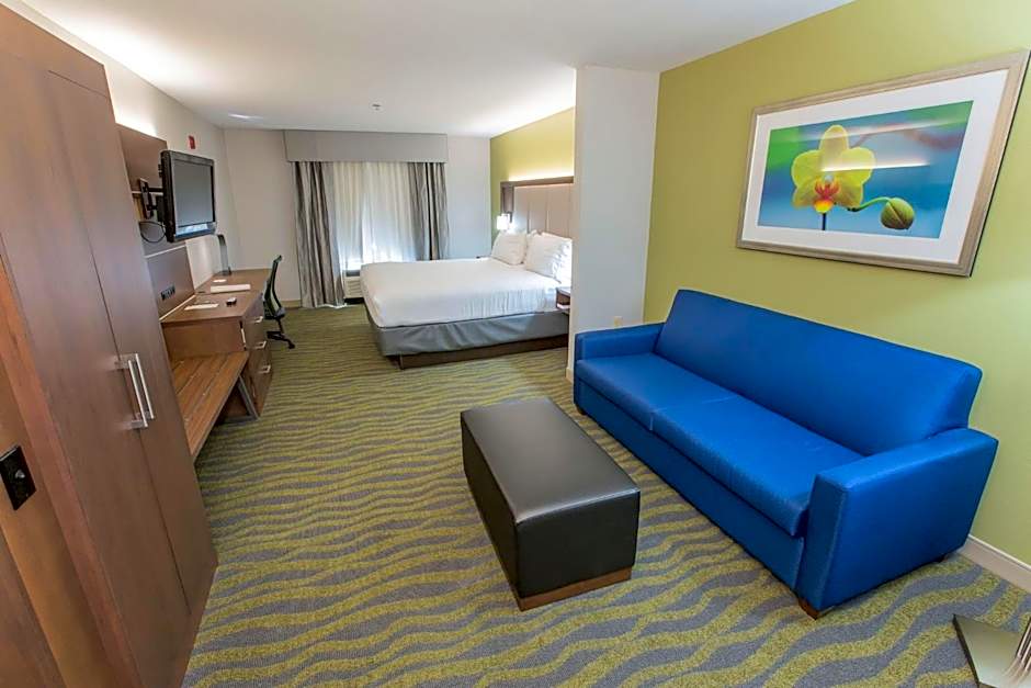 Holiday Inn Express Hotel & Suites McDonough By IHG