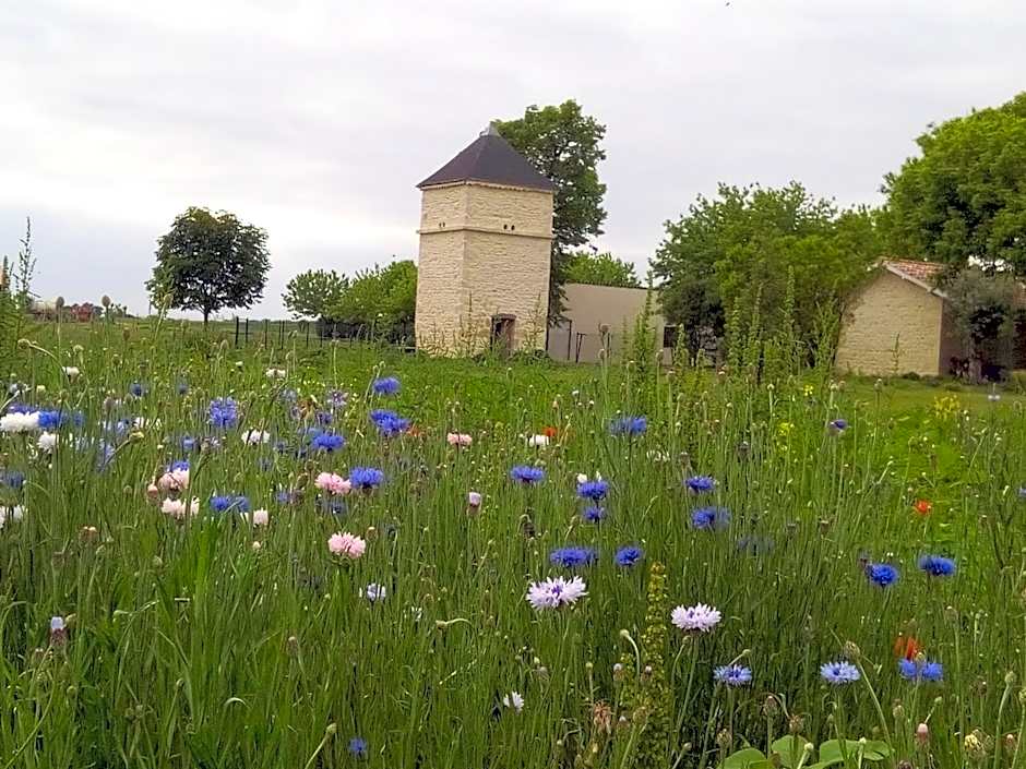 Chambres d'Hôtes Château Pierre de Montignac