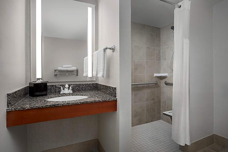 Hilton Garden Inn Denver Downtown