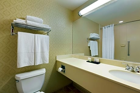 2 Room Premium Wellness Suite - 1 King Bed