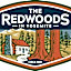 The Redwoods In Yosemite