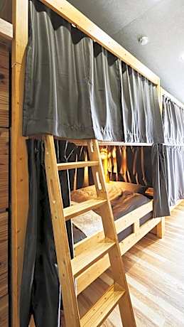 Bunk Bed in Mixed Dormitory Room