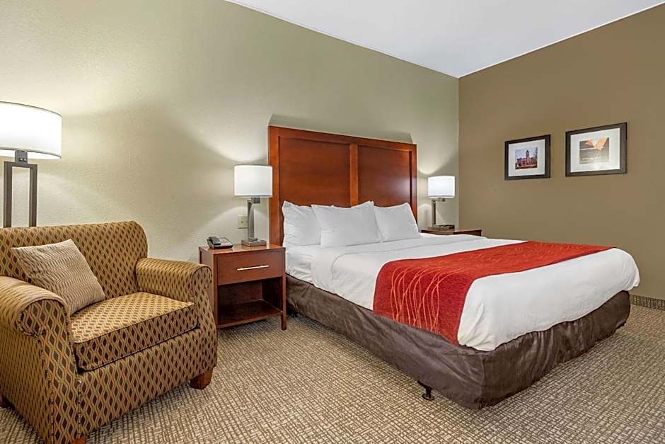 Comfort Inn & Suites Clemson - University Area 