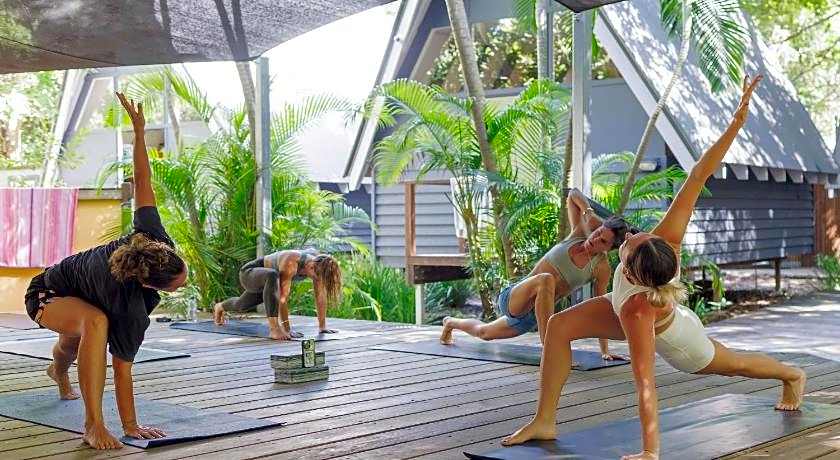 Koala Park by Bounce