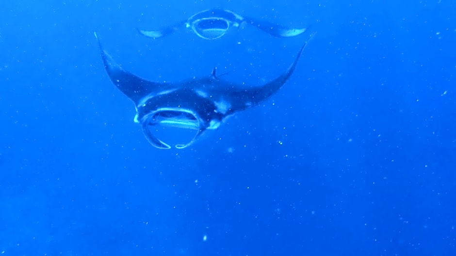 La Luna Boutique Dhangethi