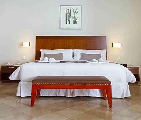 Superior Room (1 King Bed)