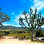 Rancho Matalote en Valle de Guadalupe