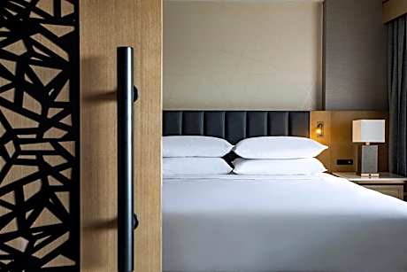 Suite, 1 King Bed with Sofa bed (1 King Bed and 1 Double Sofa Bed)