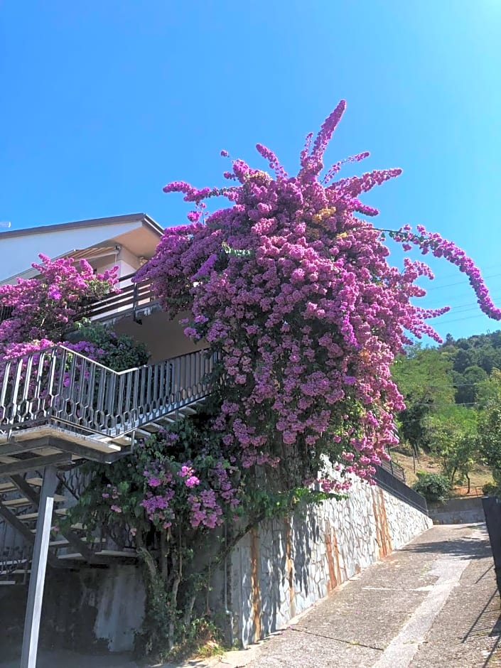 Hotel San Carlo Massa