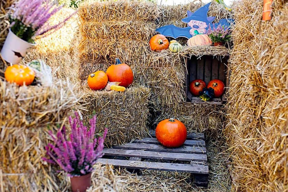 JJ Sport Concept Hotel