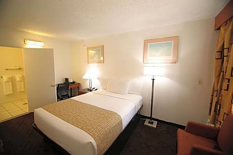 1 Queen Bed Non-Smoking