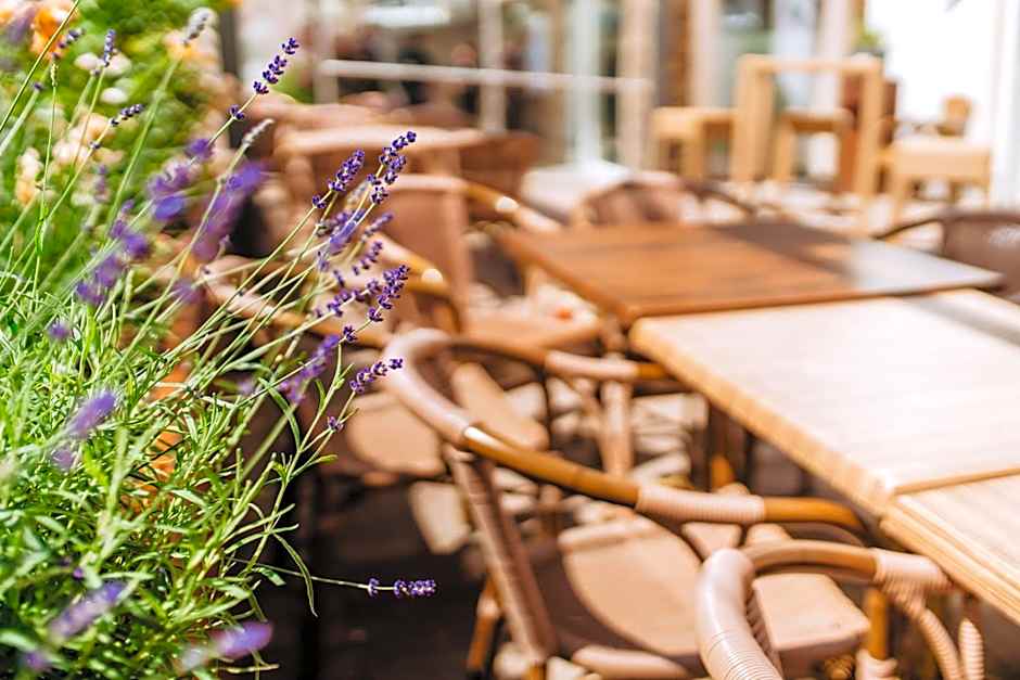 Best Western Plus Hotel Willingen