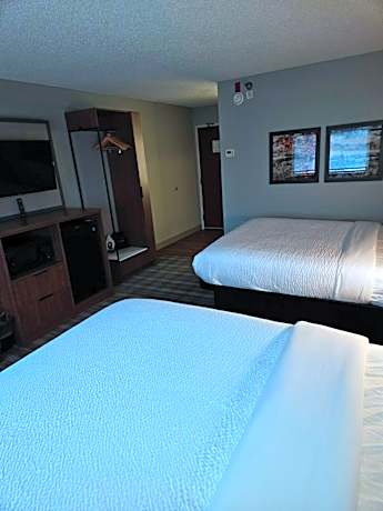 Deluxe Queen Room - Mobility Access/Non-Smoking