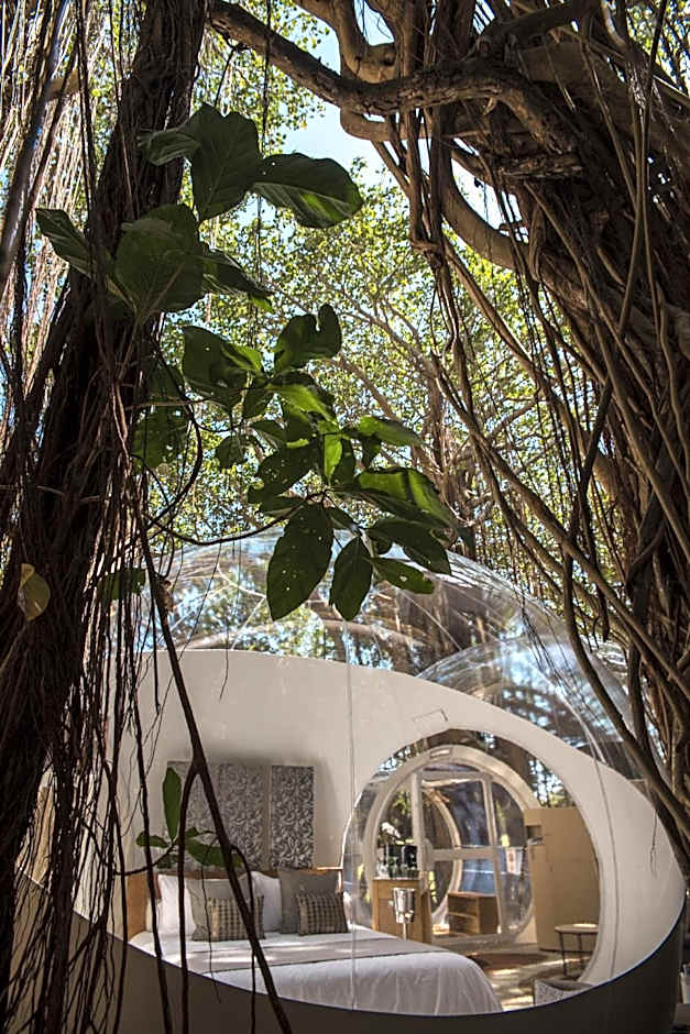 Bubble Lodge Ile aux Cerfs Island