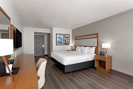 Executive King Room - Poolside