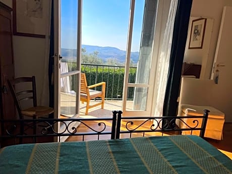 Double or Twin Room with Terrace