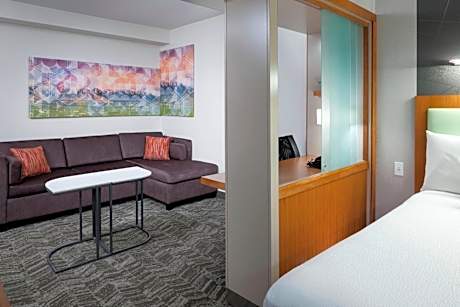 Queen Studio with Sofa Bed and Roll-in Shower - Mobility and Hearing Accessible