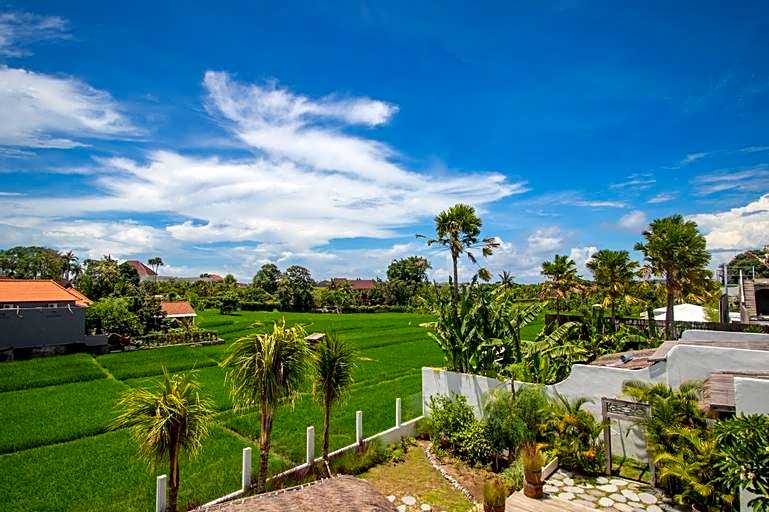 Amazing 3 Bedroom Canggu Villa with Pool and Rooftop Rice Field View