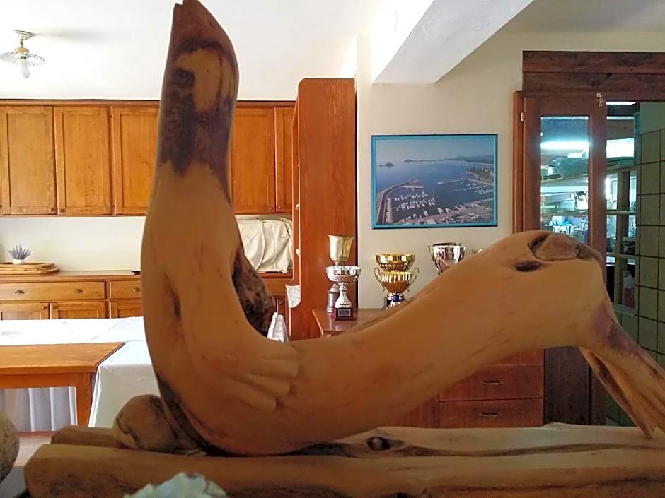 Hotel Plammas