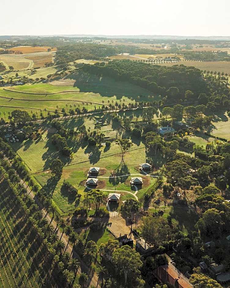 CANVS by CABN Seppeltsfield Barossa