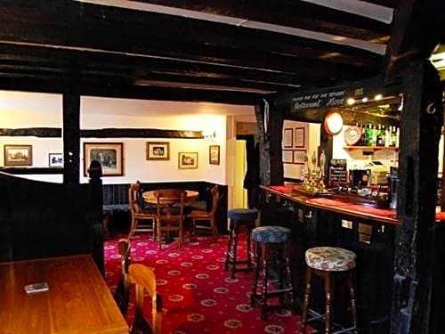 The Plume of Feathers