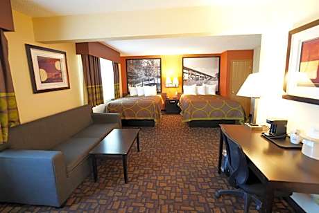 2 Queen Beds, Studio Suite, Non-Smoking