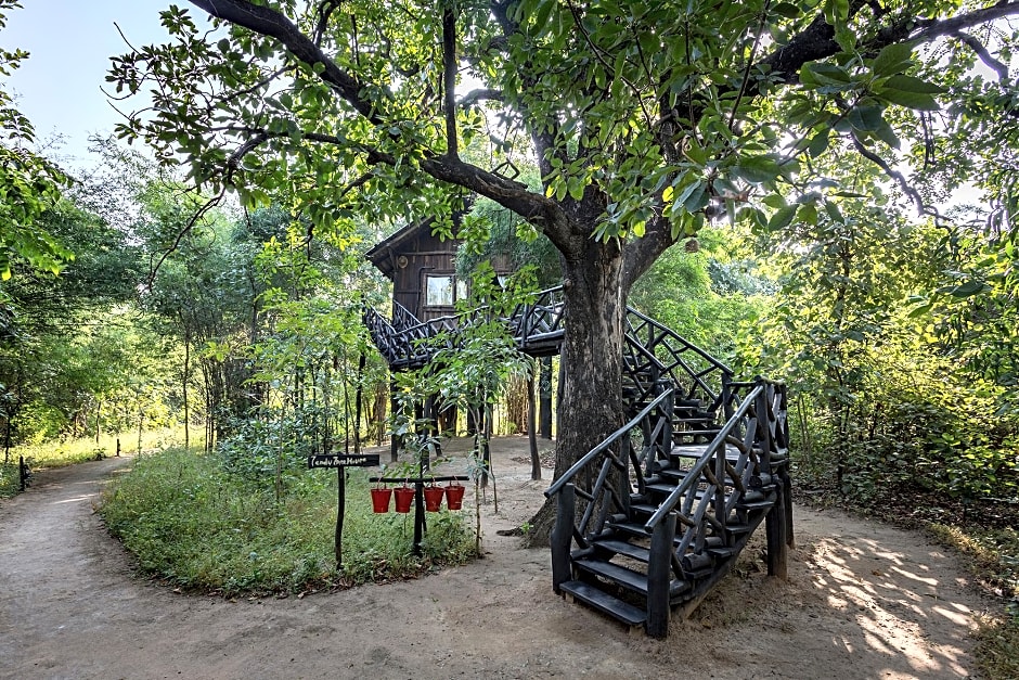 Pugdundee safaris - Tree House Hideaway