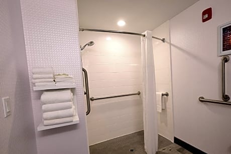 1 King Accessible Roll In Shower Non-Smoking