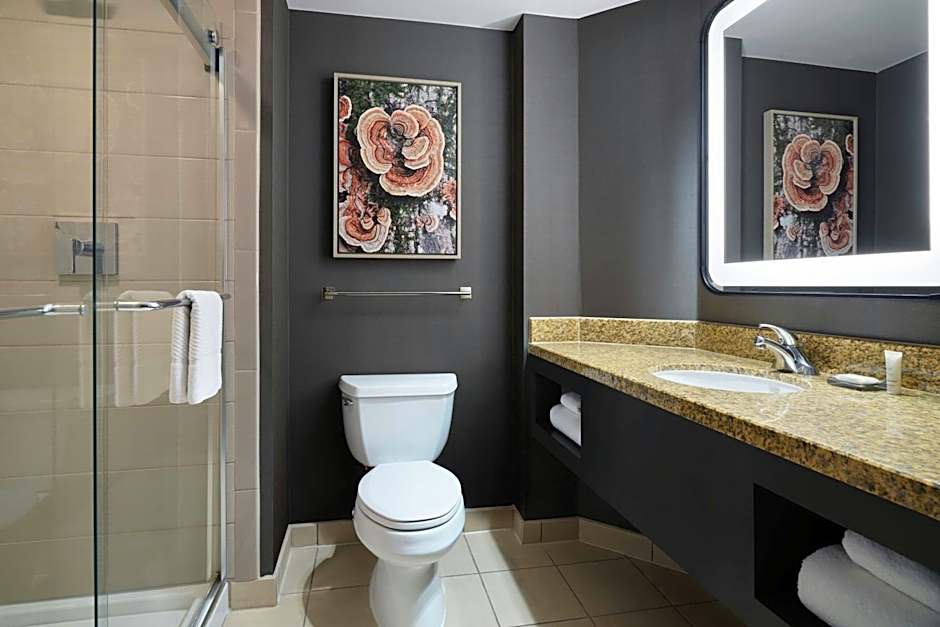 Denver Marriott South At Park Meadows