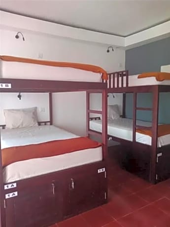 Bed in 4-Bed Mixed Dormitory Room