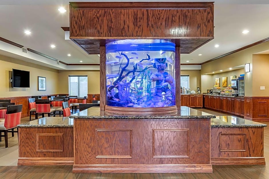 Comfort Suites Near Texas A&M Corpus Christi