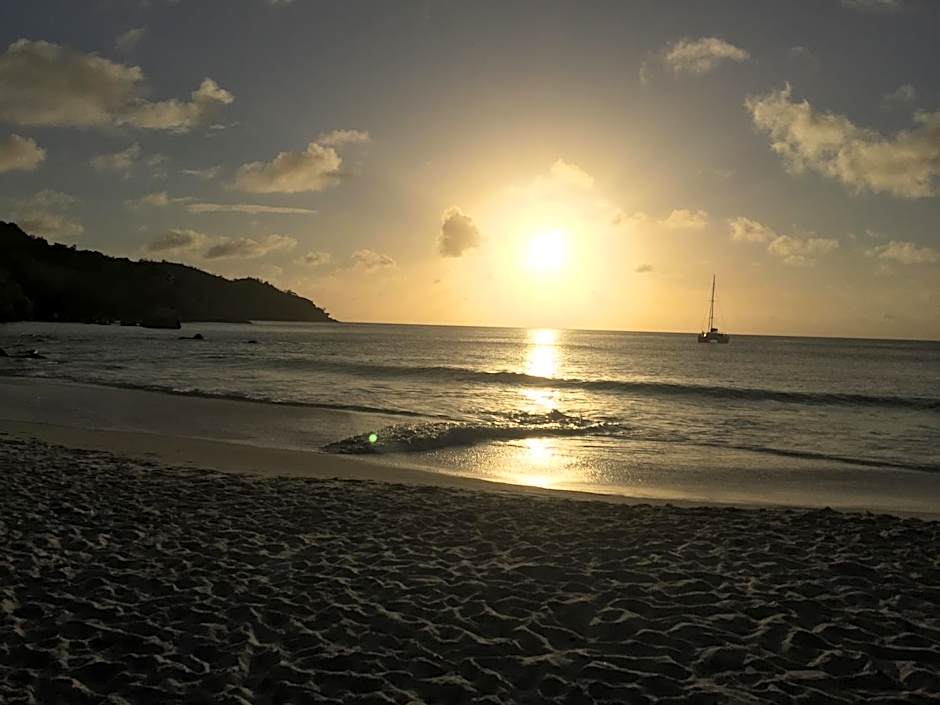 Villas des Alizes beachfront suites and garden villas