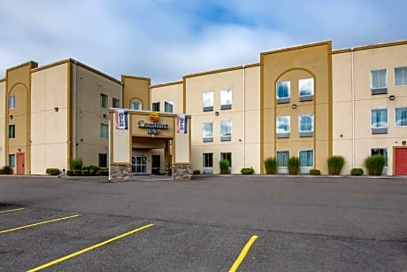 Comfort Inn Apalachin - Binghamton W Route 17